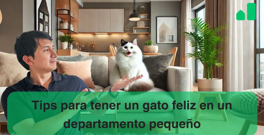 tips para gato feliz en departamento pequeño